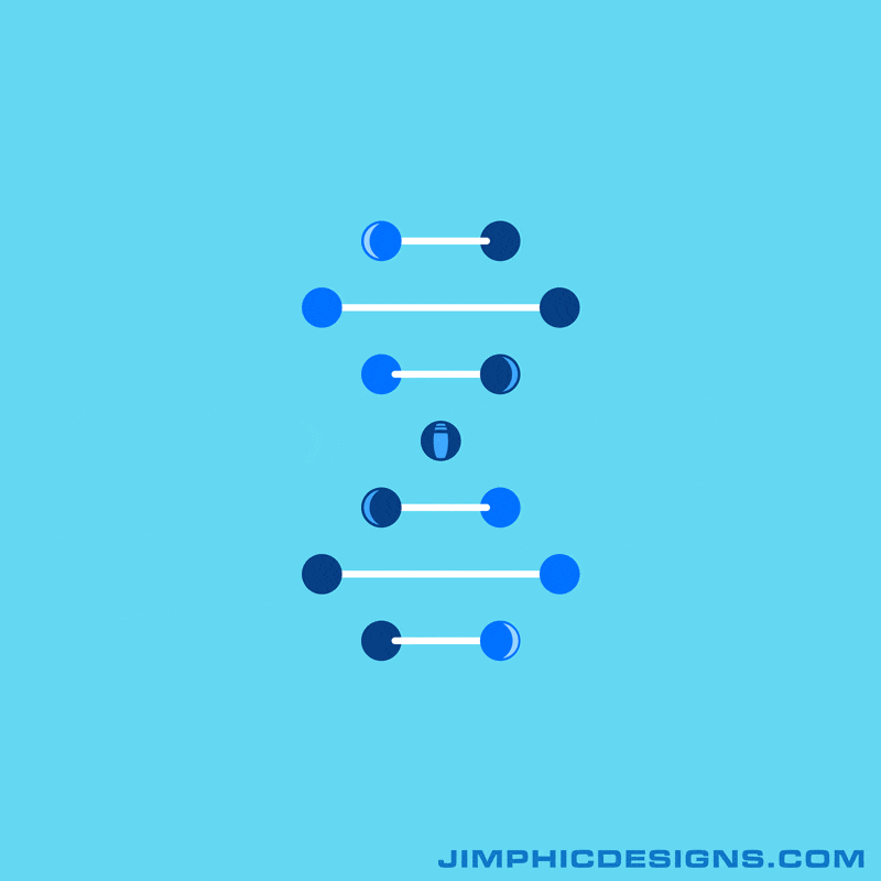 animation