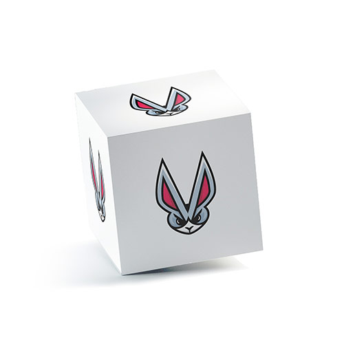 Rabbit Logo logo on a 3D square box mockup