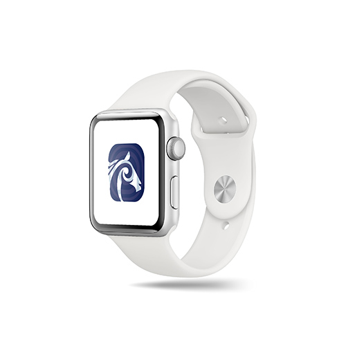 Spiral Horse Logo logo on a smart watch mockup