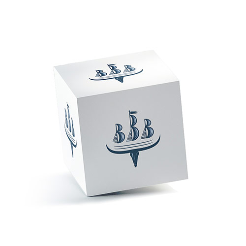 Bull Ship Logo logo on a 3D square box mockup