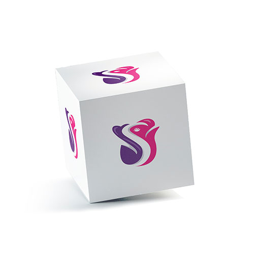 Letter S Rose Logo logo on a 3D square box mockup