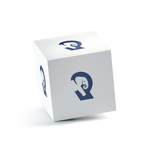 R Elephant Logo logo on a 3D square box mockup