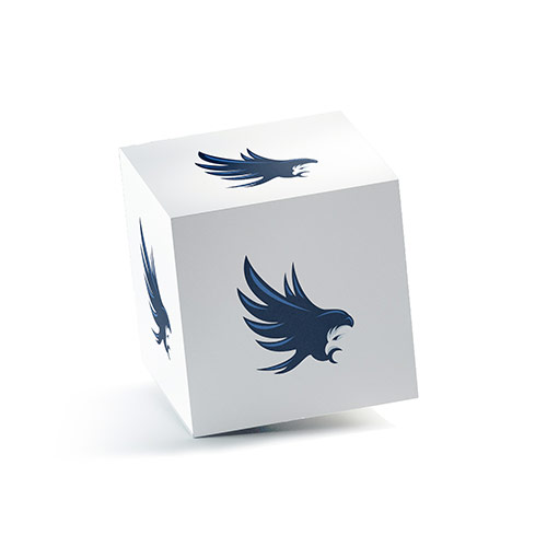 Eagle Logo logo on a 3D square box mockup