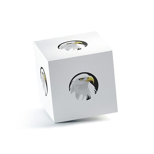 Eagle Logo logo on a 3D square box mockup