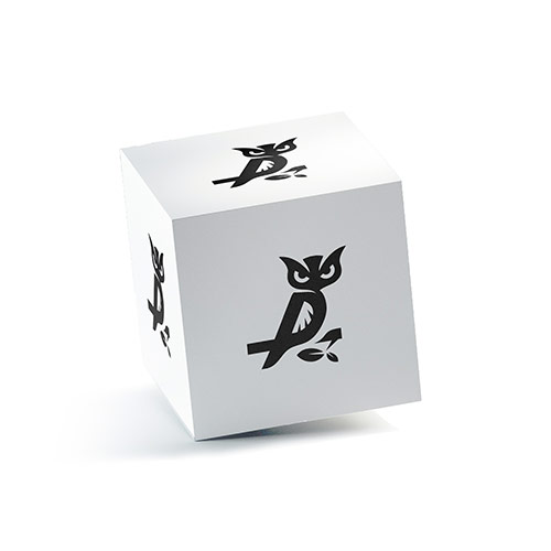 P Owl Logo logo on a 3D square box mockup