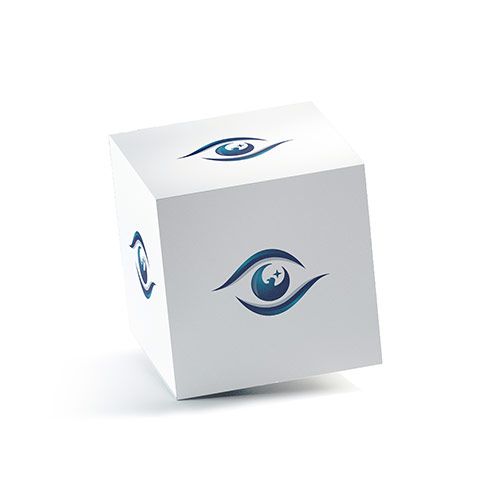 Eagle Eye Logo logo on a 3D square box mockup