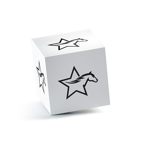 Star Horse Logo logo on a 3D square box mockup