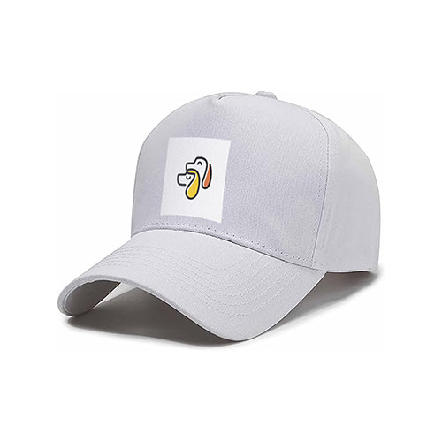 Two Dogs Logo logo on a cap mockup