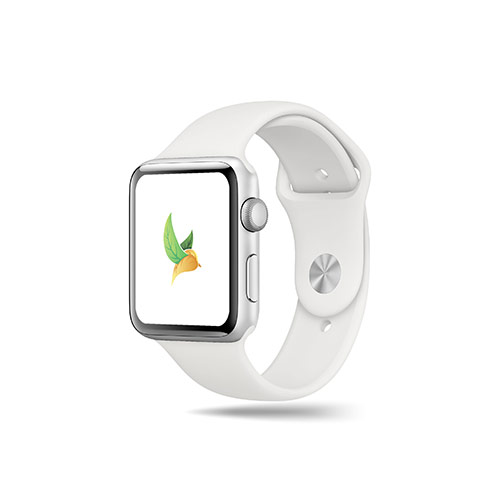 Leaf Bird Logo logo on a smart watch mockup