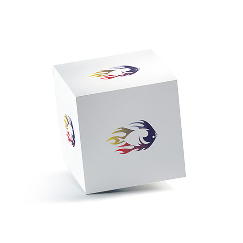 Flaming Fish Logo logo on a 3D square box mockup