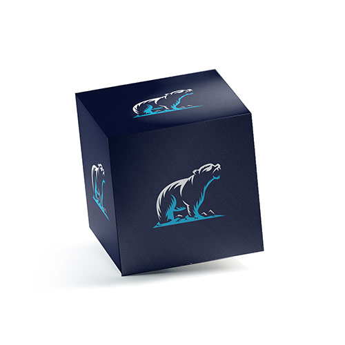 Bear Logo logo on a 3D square box mockup