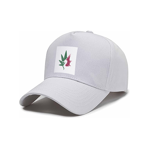 CBD Dragon Logo logo on a cap mockup
