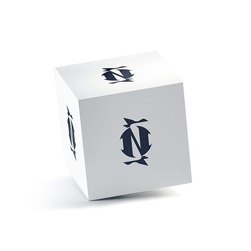 Letter N Birds Logo logo on a 3D square box mockup