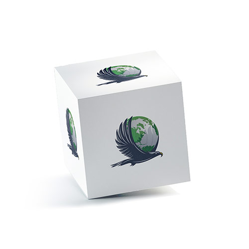 Eagle Globe Logo logo on a 3D square box mockup