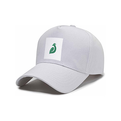 Eagle Leaf Logo logo on a cap mockup