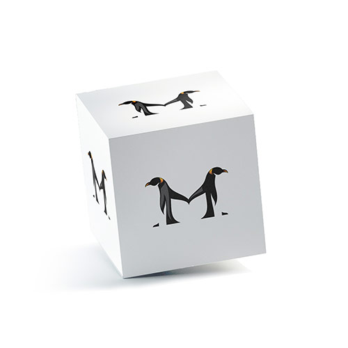 M Penguin Logo logo on a 3D square box mockup