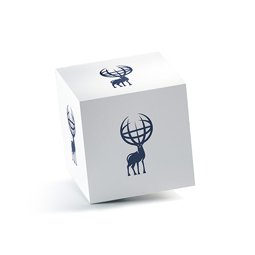 Globe Deer Logo logo on a 3D square box mockup