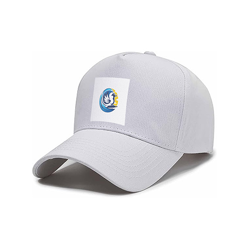 Surfing Bird Logo logo on a cap mockup