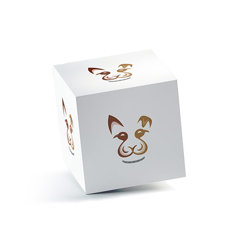Bird Dog Logo logo on a 3D square box mockup