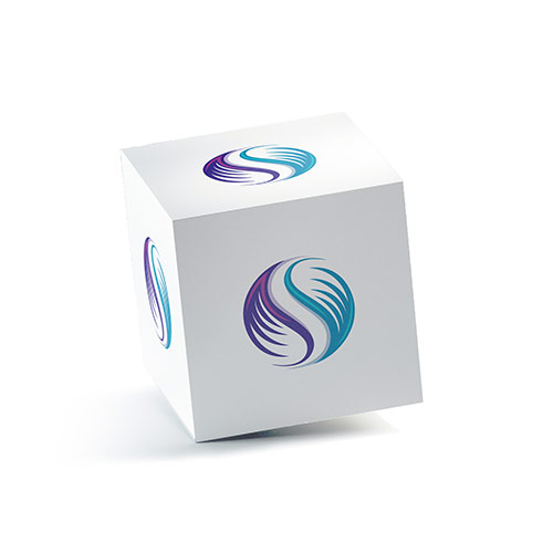 S Wings Logo logo on a 3D square box mockup