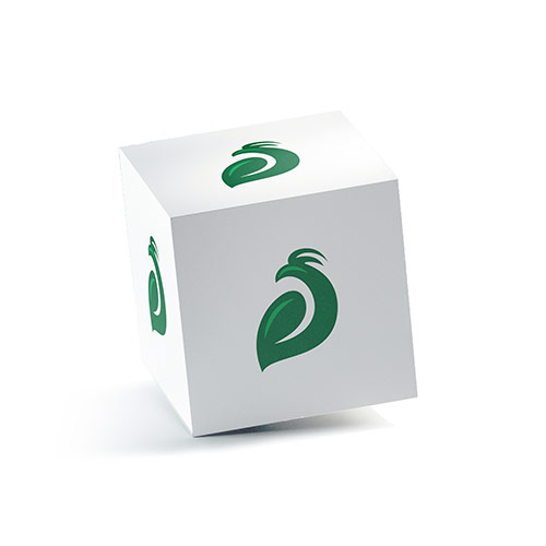 Eagle Leaf Logo logo on a 3D square box mockup