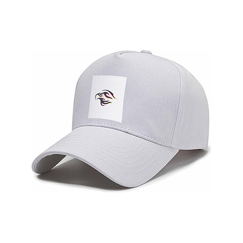 Eagle Flame Logo logo on a cap mockup
