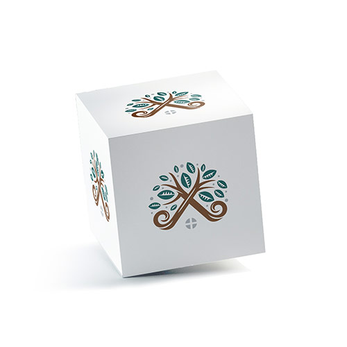 Nature House Logo logo on a 3D square box mockup