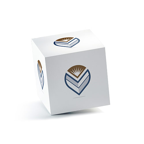 Letter V Logo logo on a 3D square box mockup