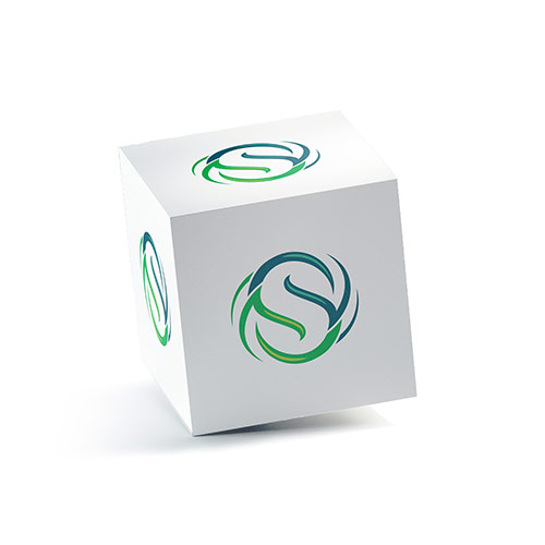 S Leaves Logo logo on a 3D square box mockup