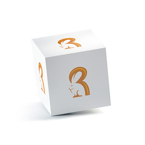 R Rabbit Logo logo on a 3D square box mockup