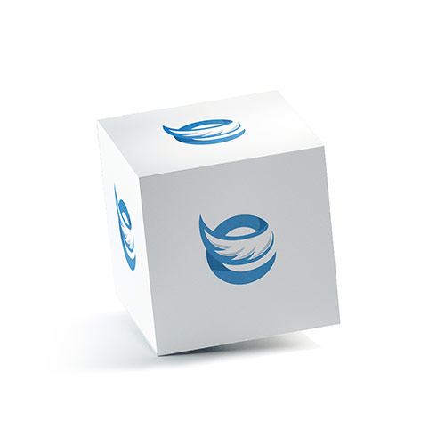 e Wing Logo logo on a 3D square box mockup