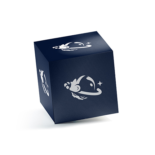 Space Logo logo on a 3D square box mockup
