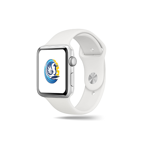 Surfing Bird Logo logo on a smart watch mockup